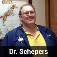Dr. Schepers