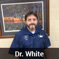 Dr. White