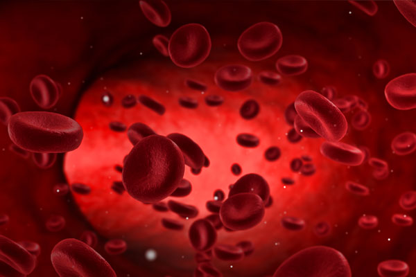 Blood cells with high luminance and sharpness.