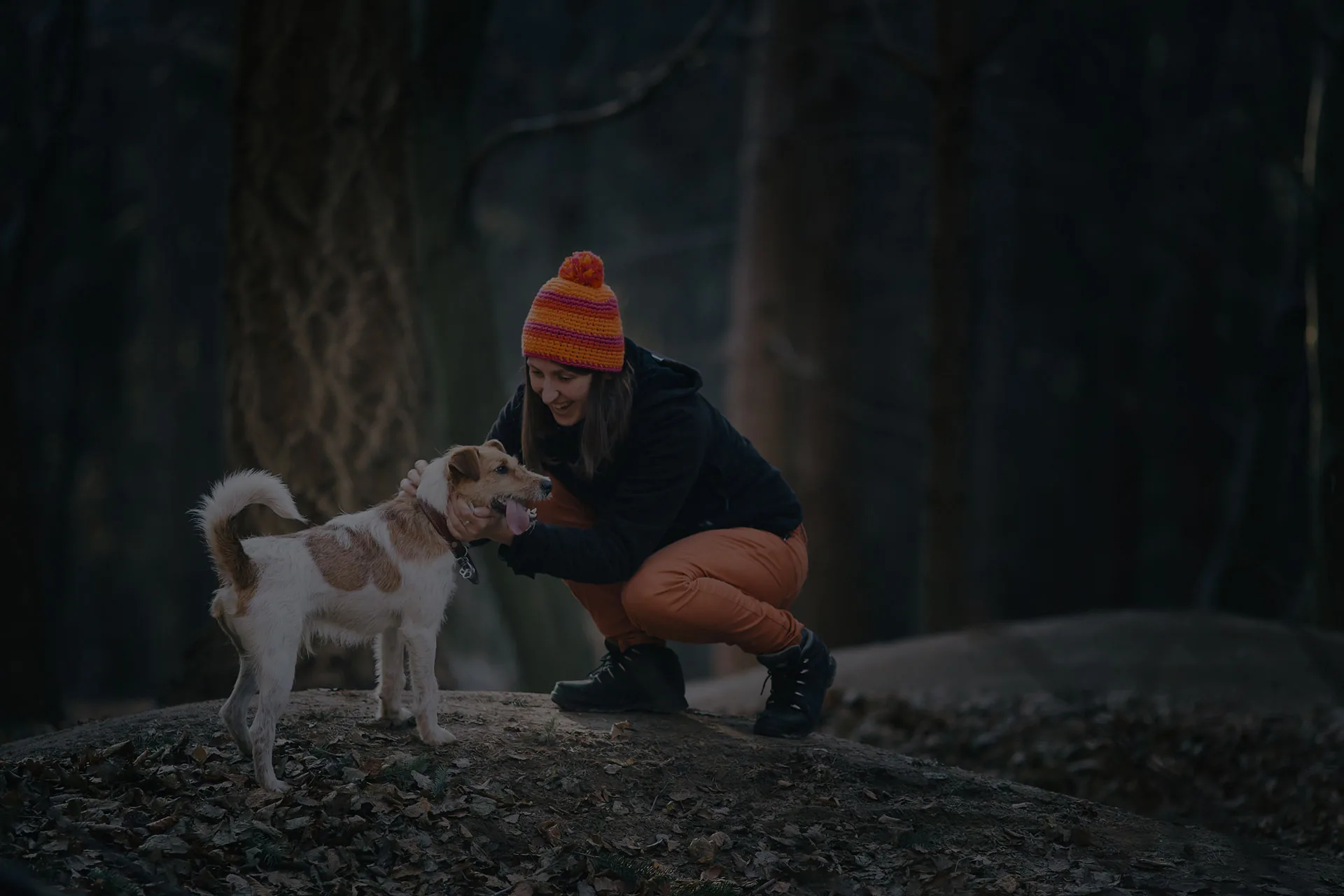 Young woman playing with her fox terrier in the forest