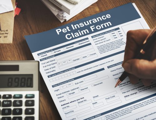How to Choose the Right Pet Health Insurance Plan